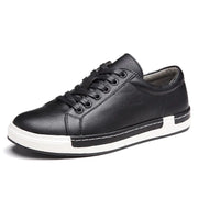 Casual Shoes, Leather Shoes, Skate Shoes
