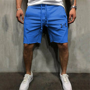 Men's Fitness Sports Leisure Shorts